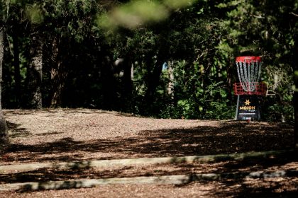 Exciting Disc Golf with a Three-Year-Old