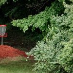 Par-Freshing Your Game: Essential Disc Golf Tips for Beginners