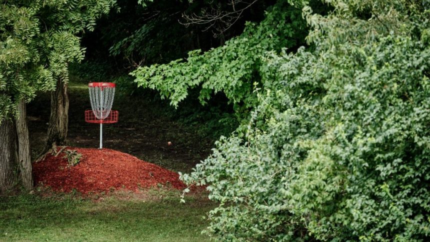 Par-Freshing Your Game: Essential Disc Golf Tips for Beginners