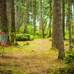 The Birth of a Sport: How Disc Golf Evolved from a Hobby to a Global Phenomenon