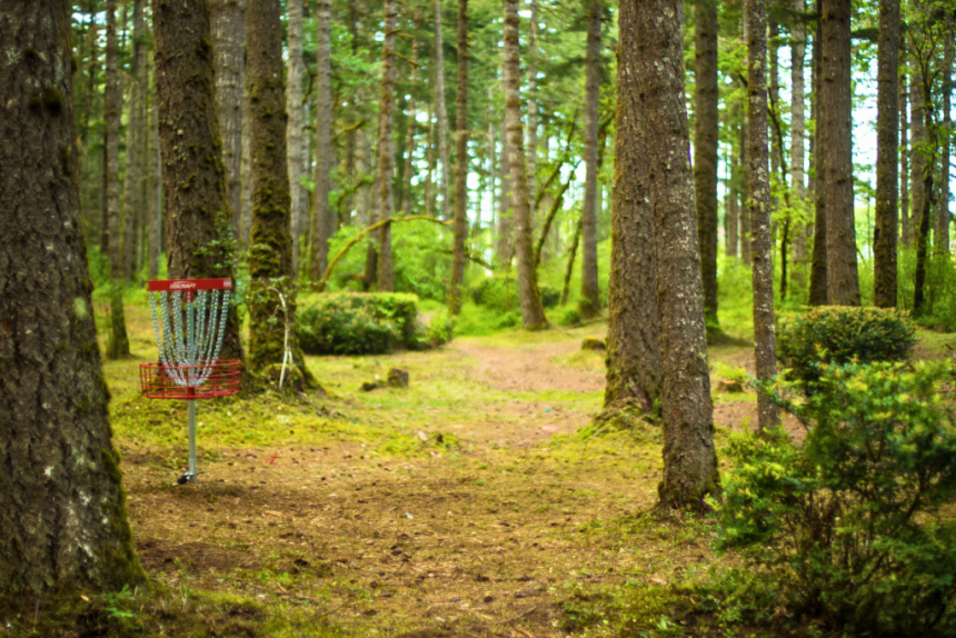 The Birth of a Sport: How Disc Golf Evolved from a Hobby to a Global Phenomenon